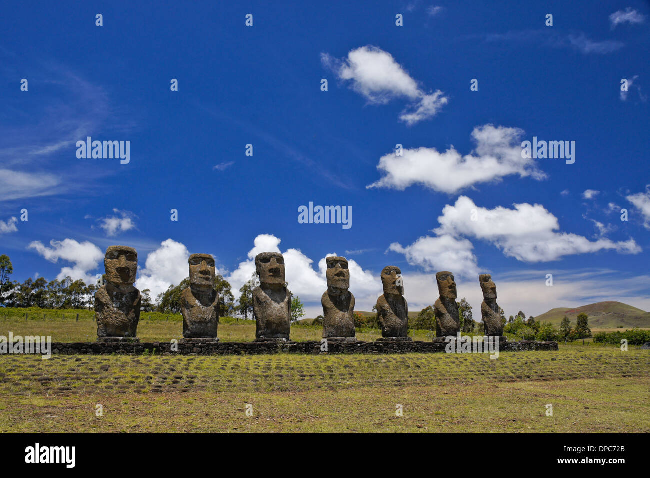 Moai a Ahu Akivi, Isola di Pasqua, Cile Foto Stock