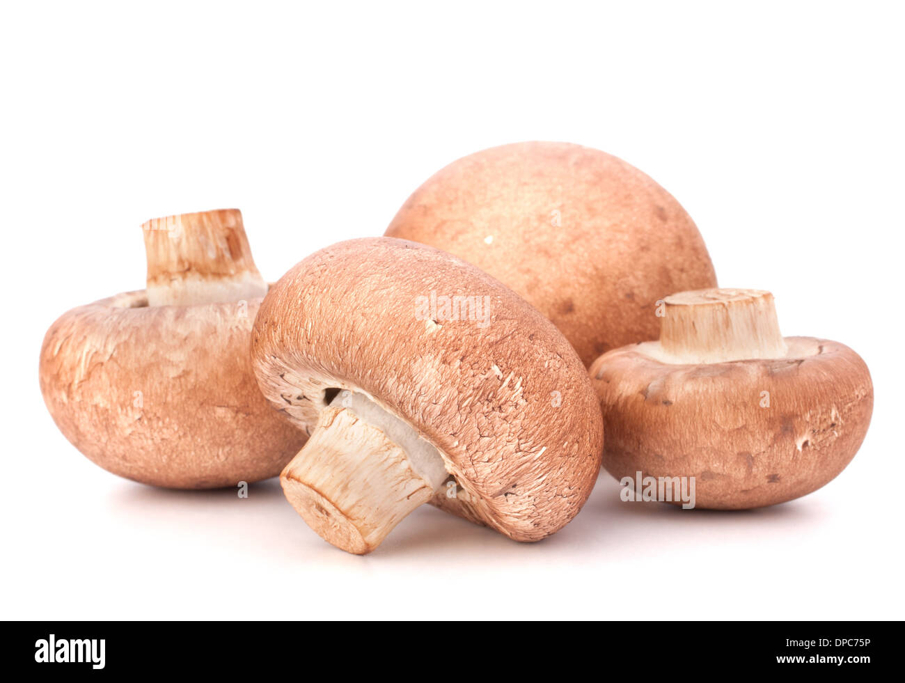 Marrone di funghi champignon gruppo isolato su sfondo bianco intaglio Foto Stock