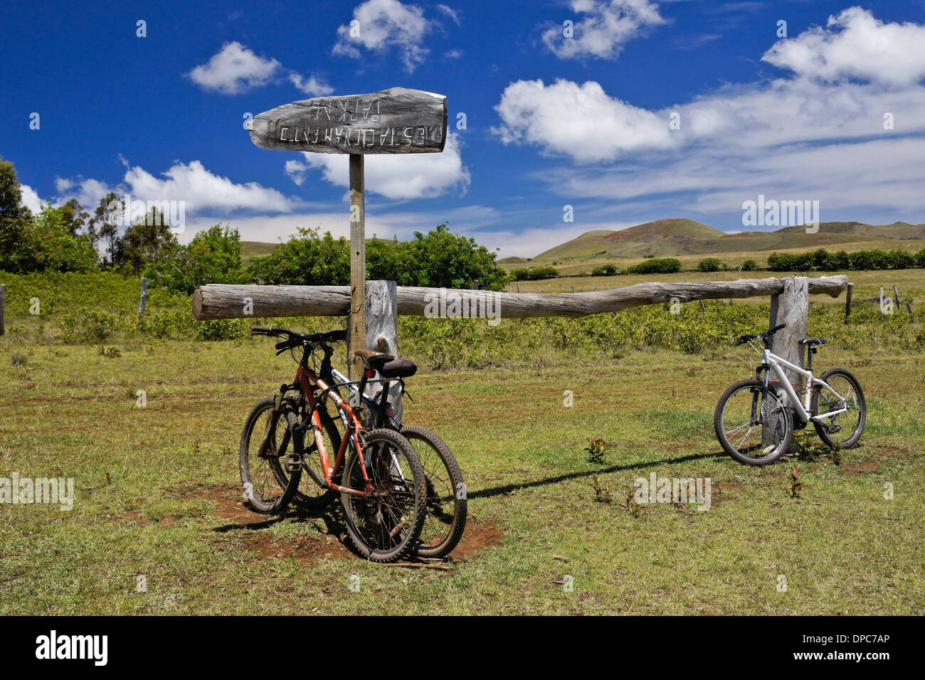Le biciclette vicino a Ahu Akivi, Isola di Pasqua paesaggio, Cile Foto Stock