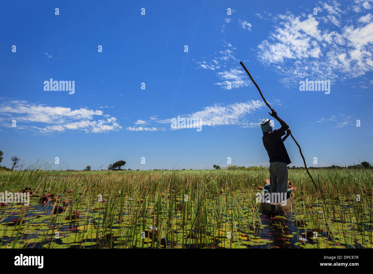 Mokoro nel Delta dell'Okavango Foto Stock