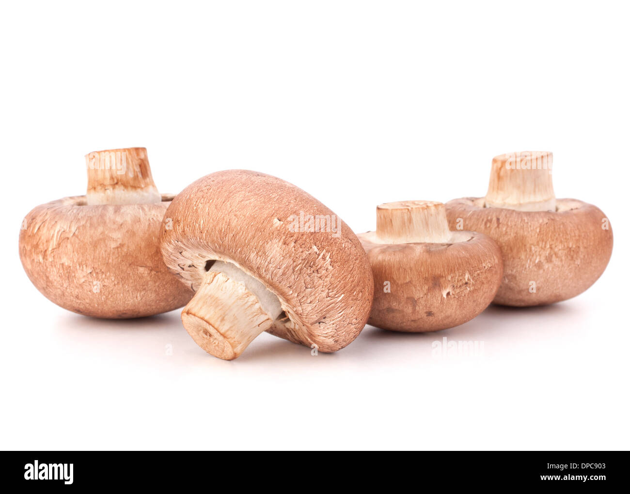 Marrone di funghi champignon gruppo isolato su sfondo bianco intaglio Foto Stock