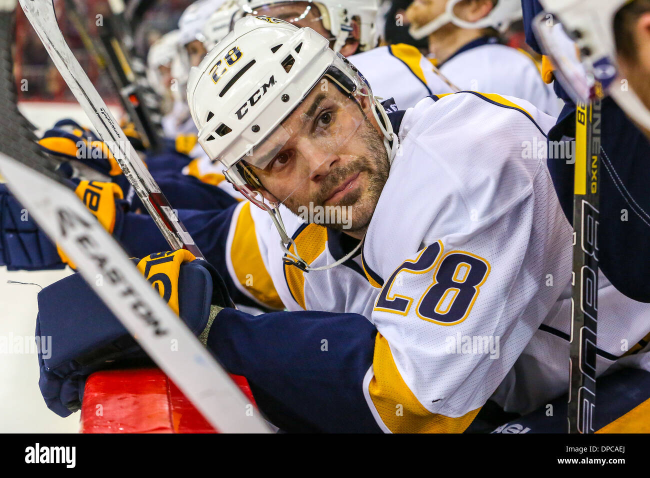 Nashville Predators centro Paul Gaustad Foto Stock