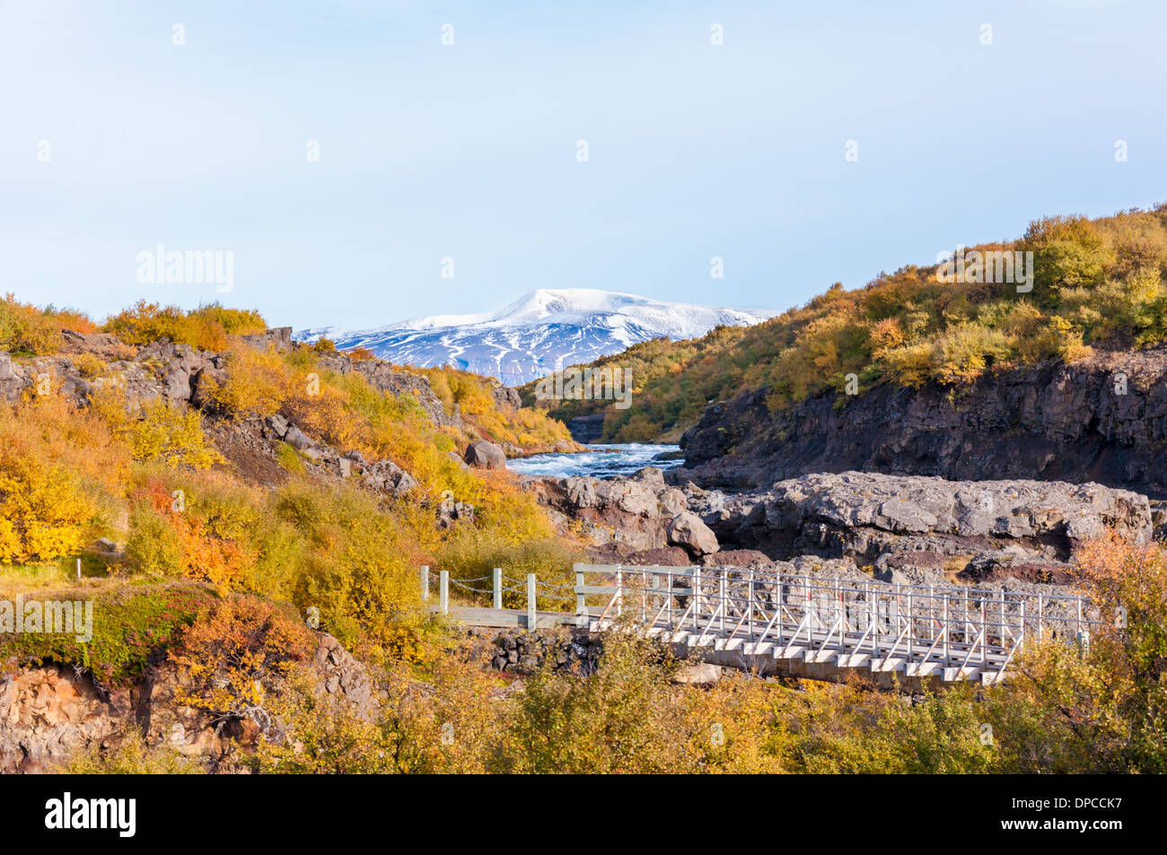 Paesaggio islandese con il ghiacciaio in background Foto Stock