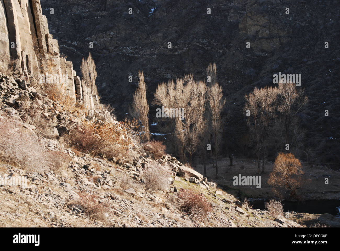 Il Garni Gorge ha colonne distintivo, scavate dal fiume Goght, denominato 'Symphony delle pietre". Foto Stock