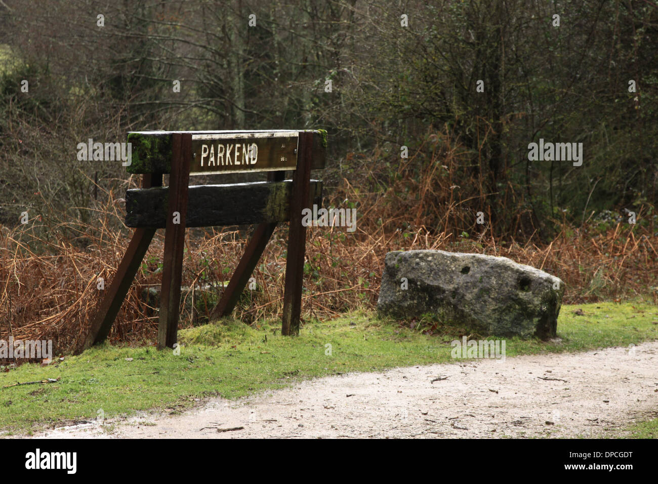 Parkend Foresta di Dean, nel Gloucestershire. Foto Stock