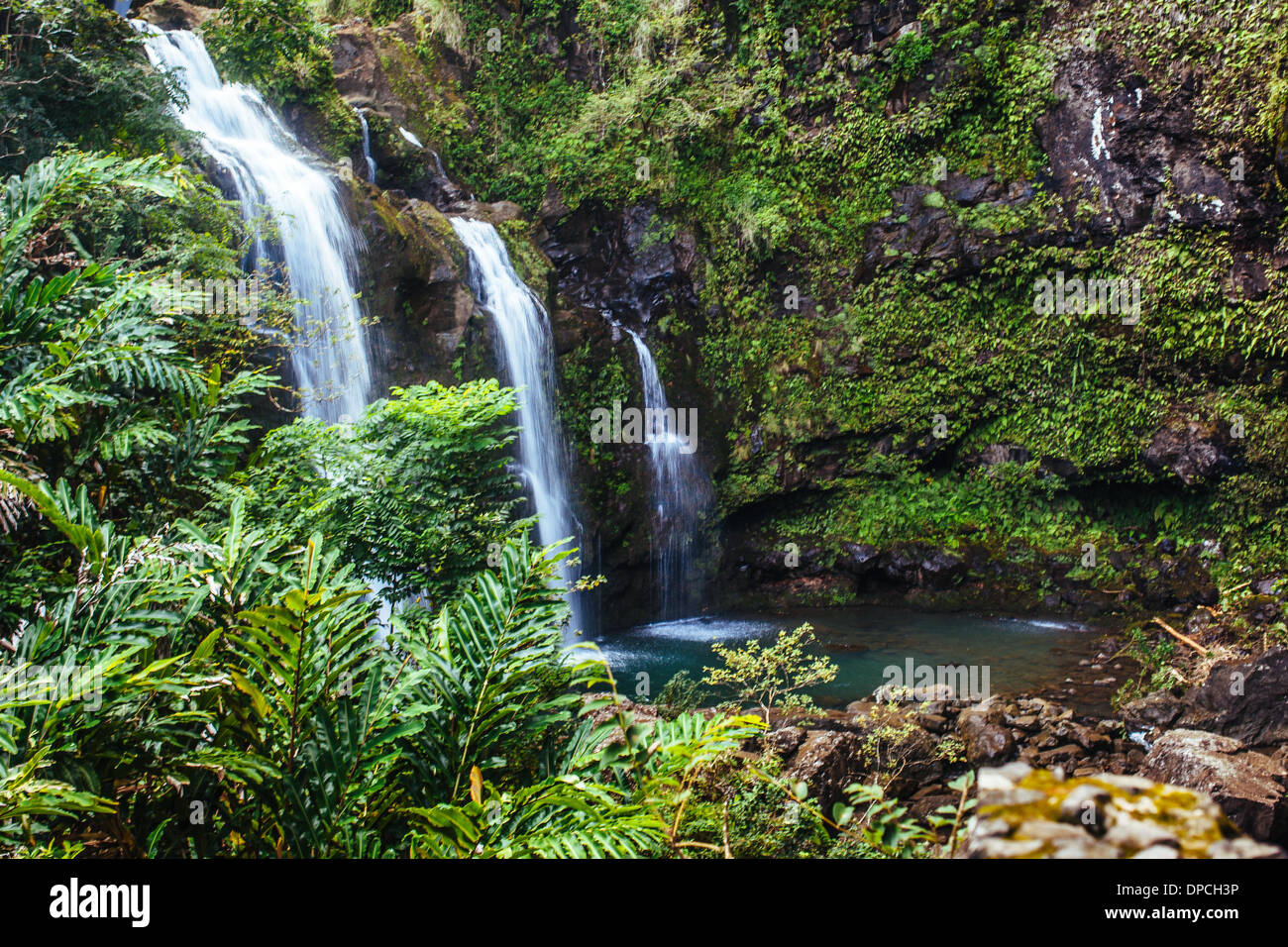 Cascate e vegetazione in strada a Maui, Hawaii Foto Stock