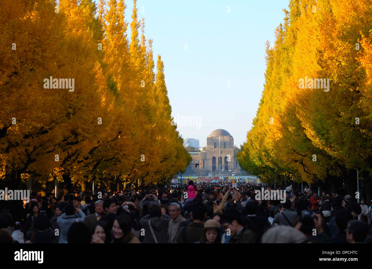Jingu Gaien Gingko Festival Foto Stock