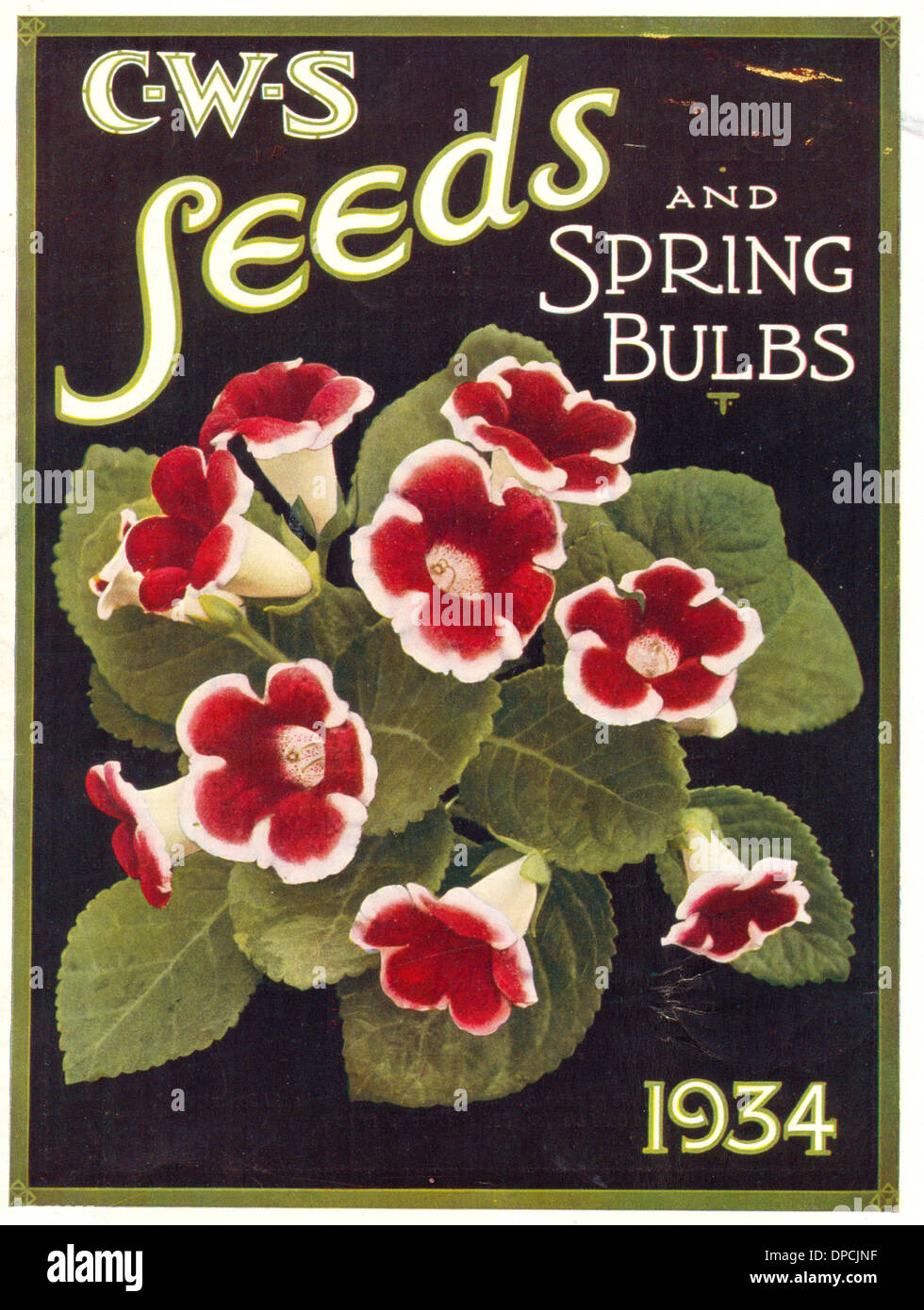 CWS Sementi e bulbi di primavera catalogo Foto Stock