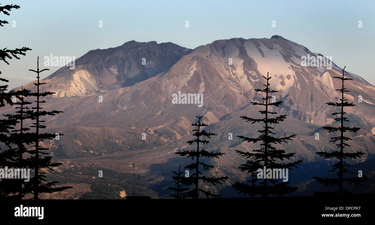 Mt Saint Helen Washington cratere sommitale del picco danni ad albero monte Vulcano Foto Stock