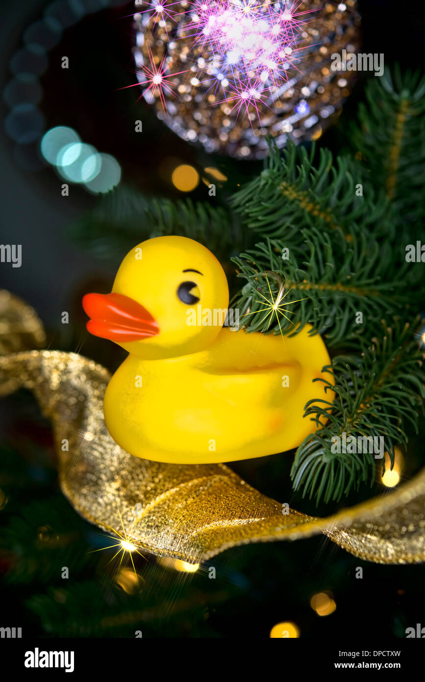 Natale in gomma gialla di anatra con star burst. Foto Stock
