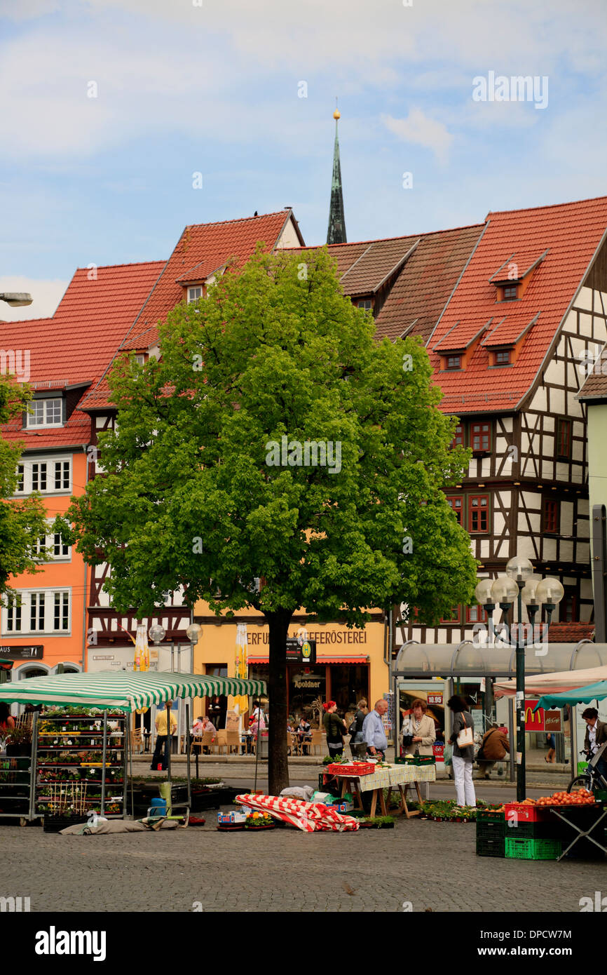 Mercato a Domplatz, Piazza Duomo di Erfurt, Turingia, Germania, Europa Foto Stock