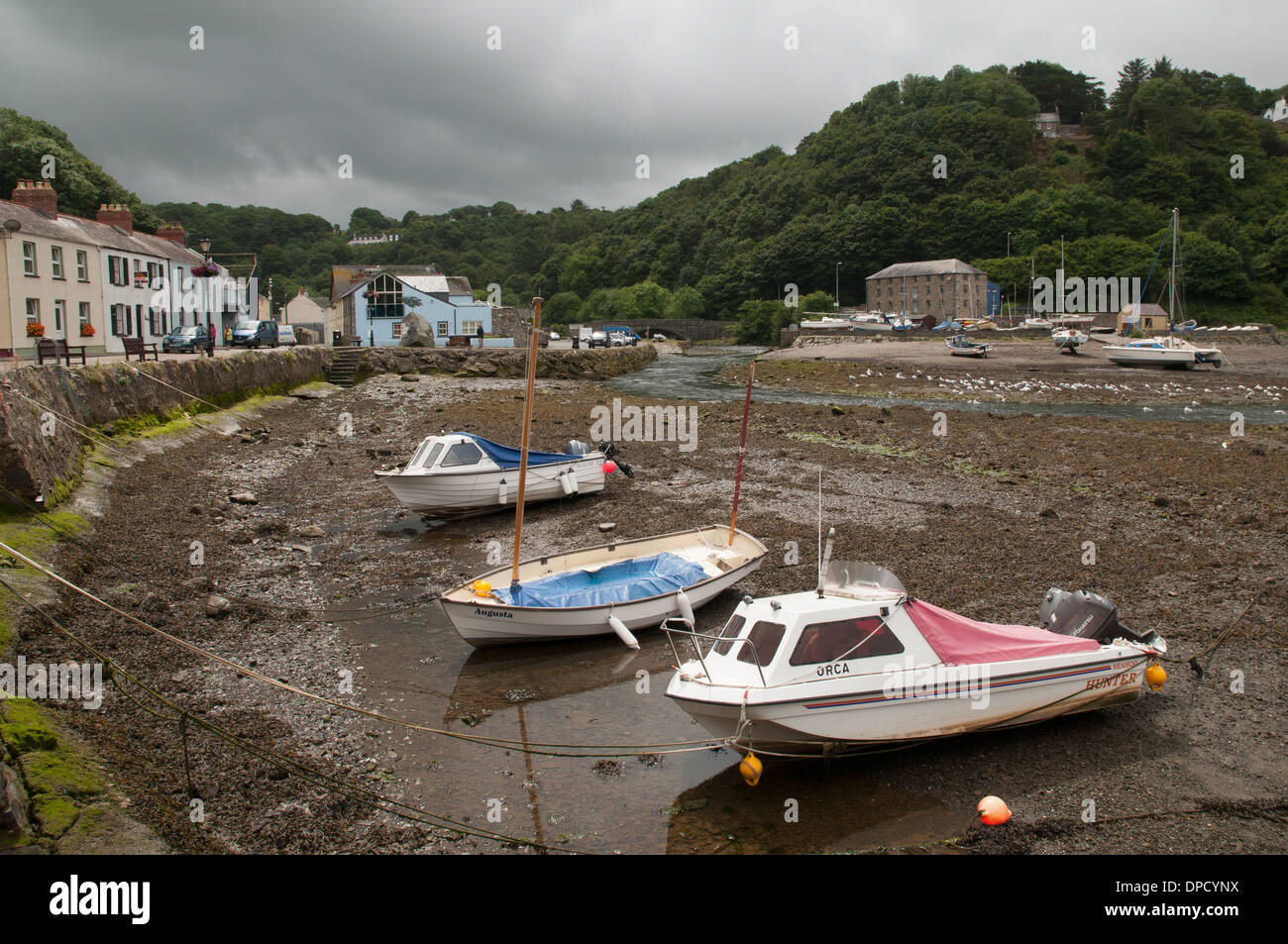 Barche nel porto di Fishguard a bassa marea Foto Stock
