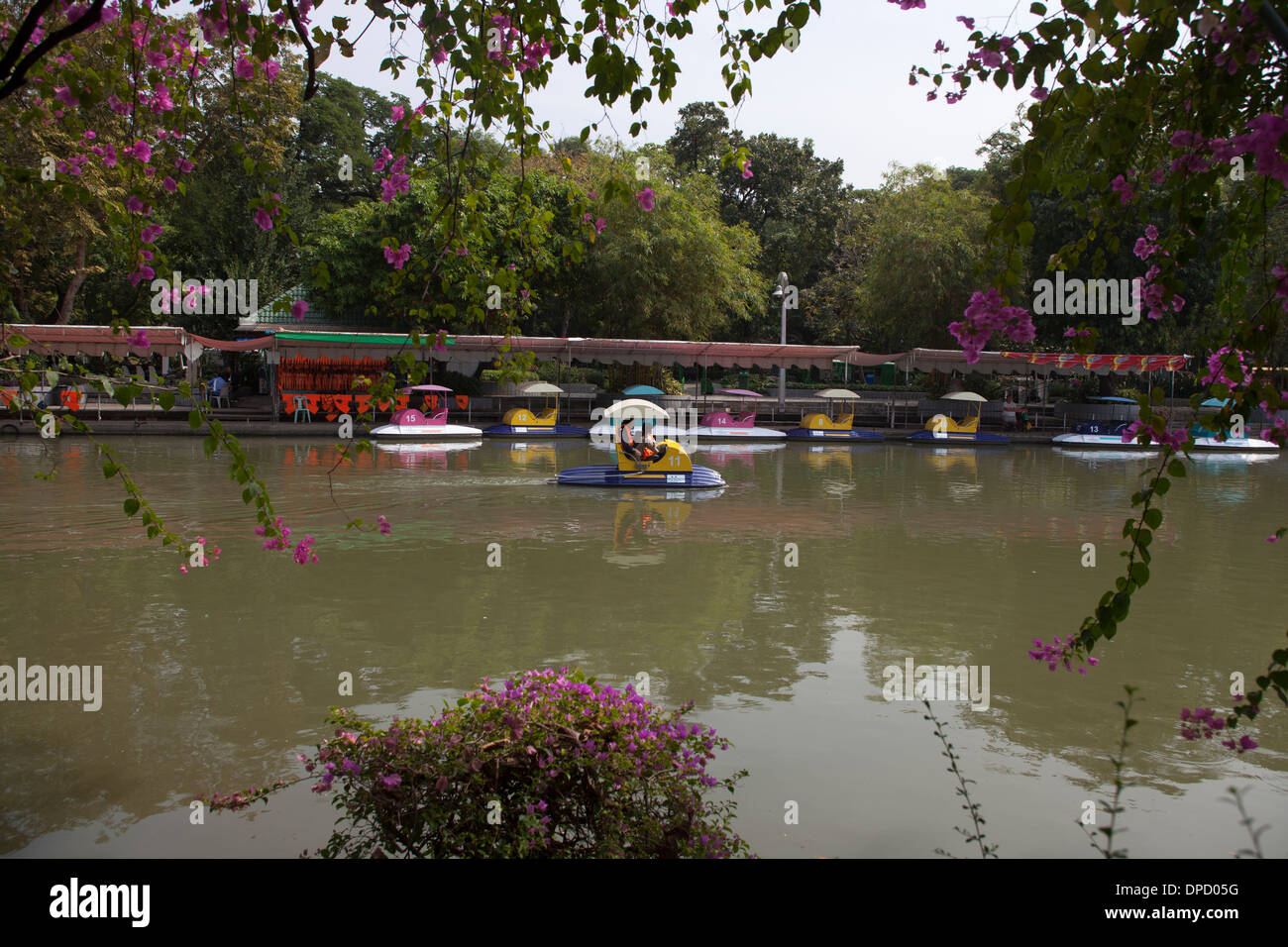 Gite in barca sul lago in Zoo di Dusit a Bangkok Foto Stock