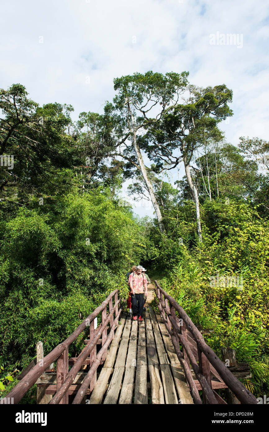 Passeggiate turistiche su un ponte in legno Andasibe parco nazionale del Madagascar. Foto Stock
