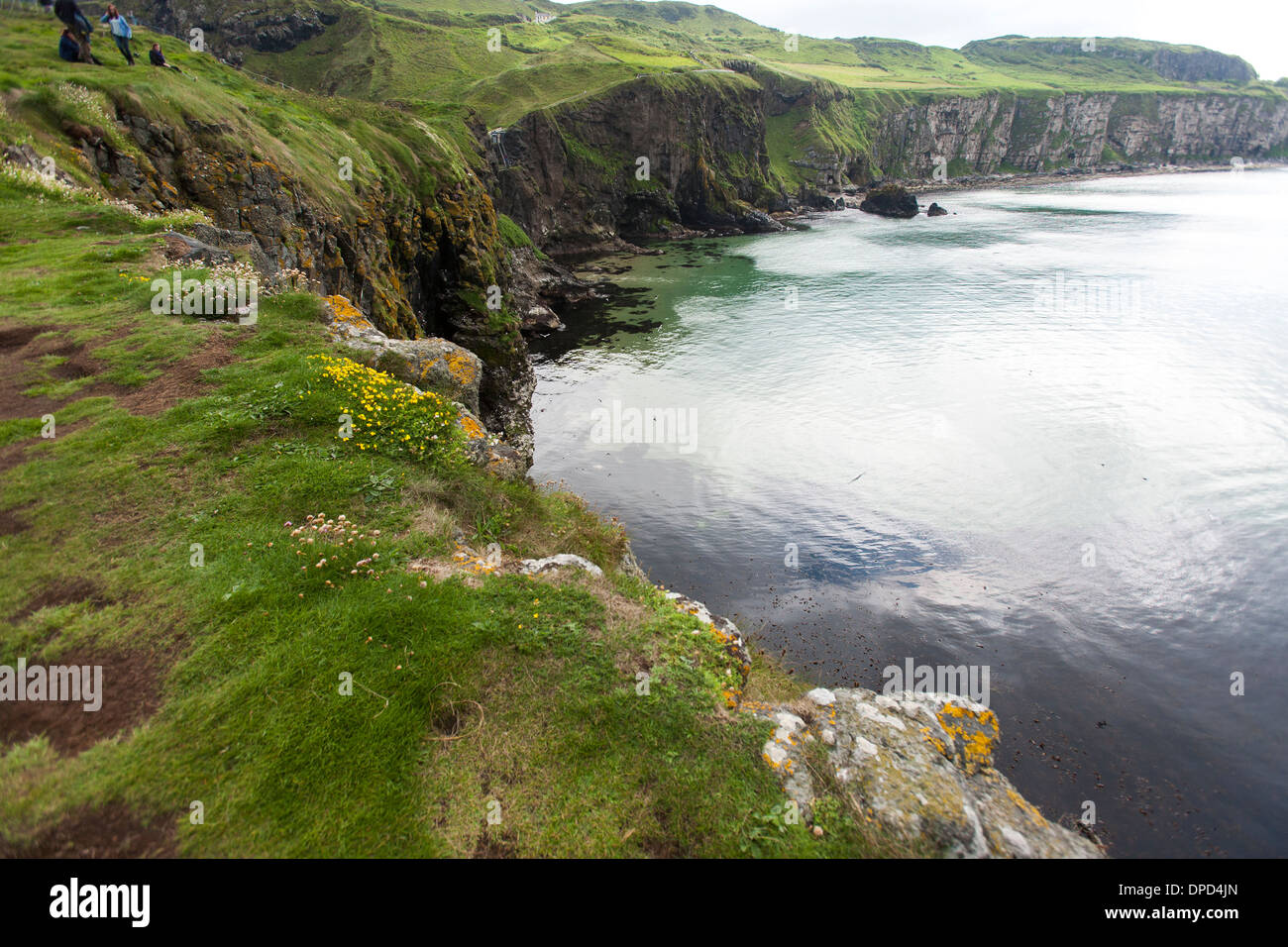 Guardando la vista lungo la costa di Antrim visto da Carrickarede isola una proprietà del National Trust in Irlanda del Nord. Foto Stock
