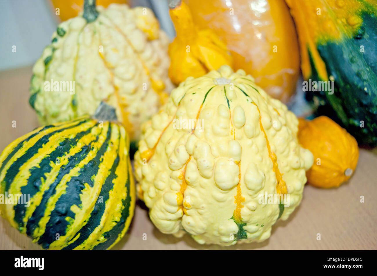 Ortaggi zucche ortaggi piante alimentari producono verde verde cibo ecologico chiudere i mercati negozi di frutta fresca inquinamento piastra- Foto Stock