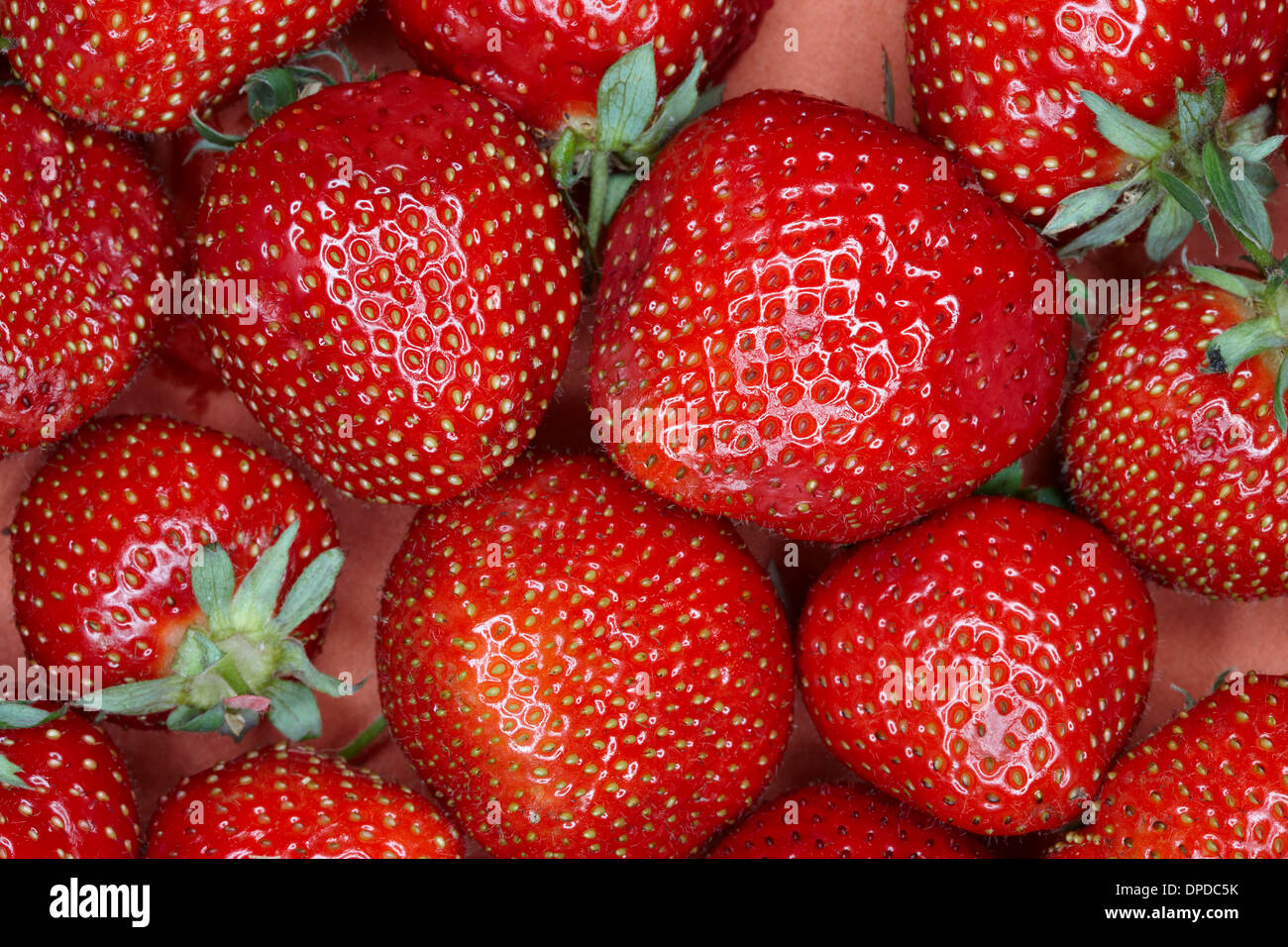 Fragole, frame completo Foto Stock