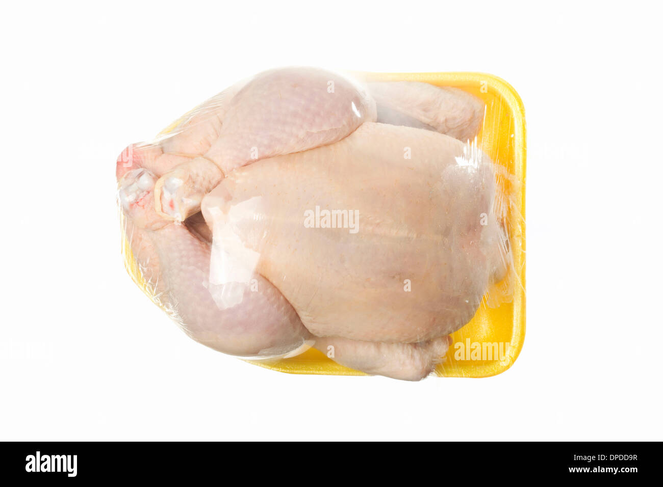 Pollo Sonoro Mr. Chicken 38 Cm - Giocattolo Divertente Per Feste E Carnevale