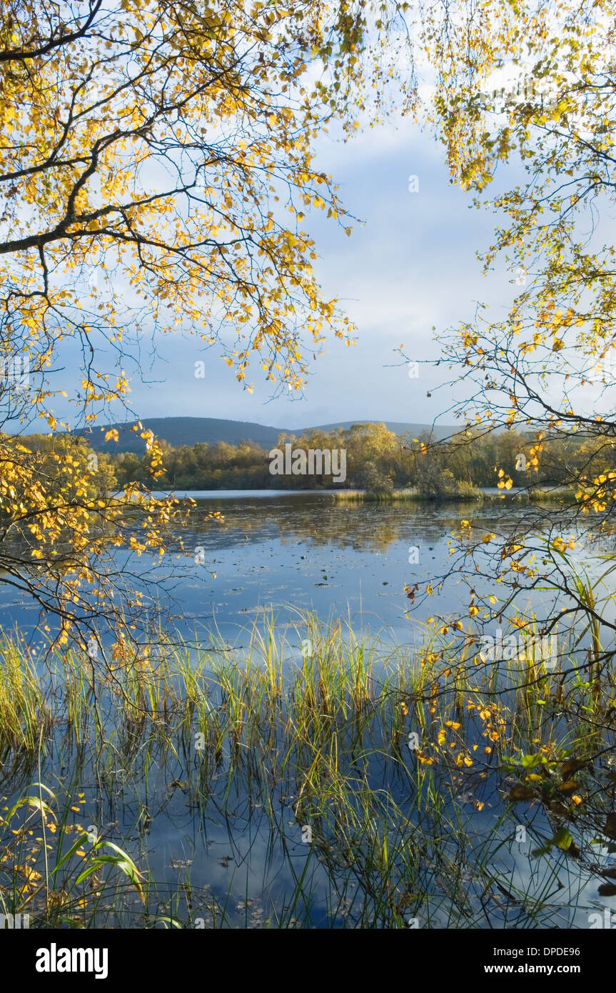 Loch Kinord - nel Muir of Dinnet Riserva Naturale Nazionale, Deeside, Aberdeenshire, Scotland, Regno Unito. Foto Stock