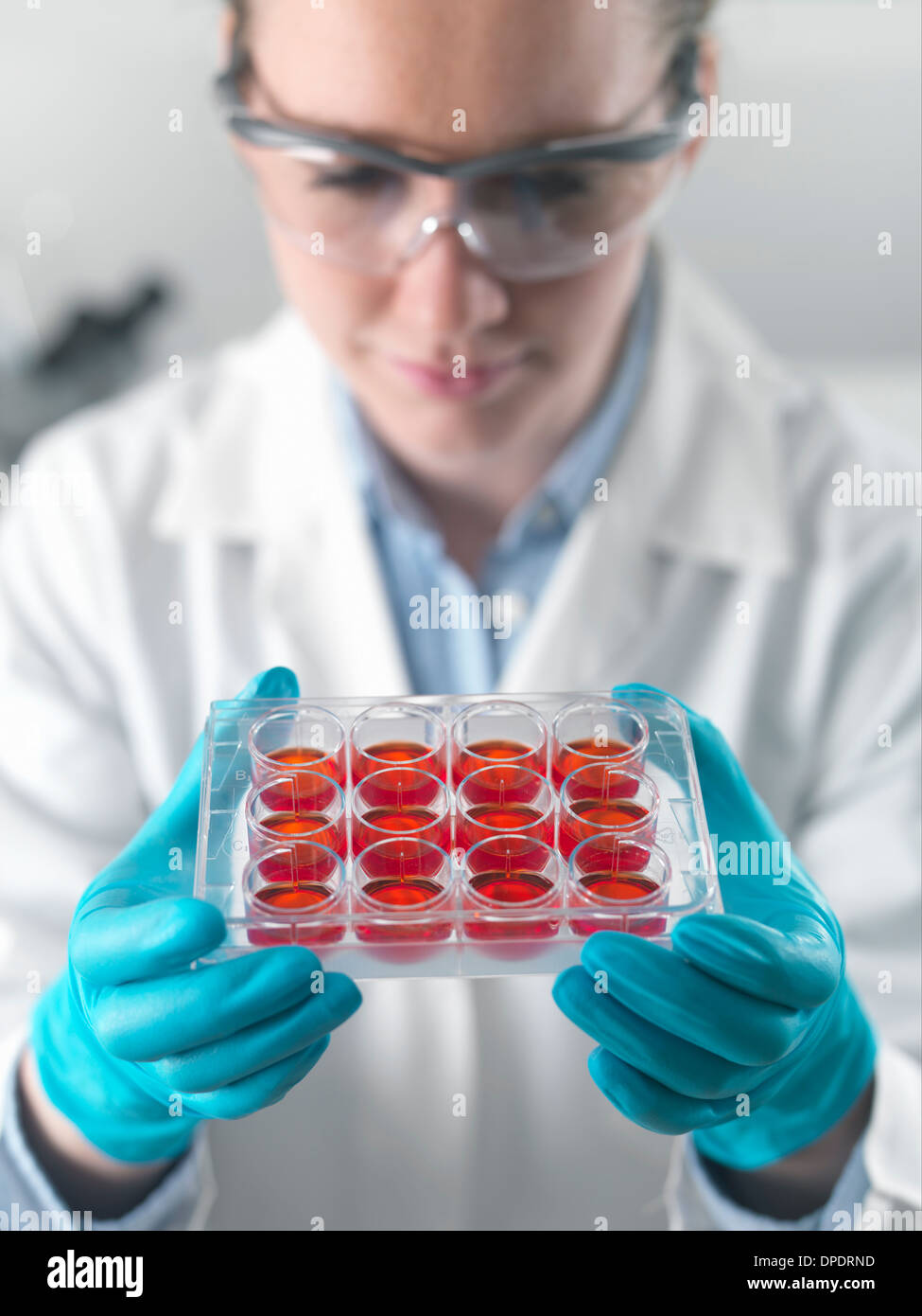 Donna scienziato esaminare lo stelo di colture cellulari in laboratorio Foto Stock