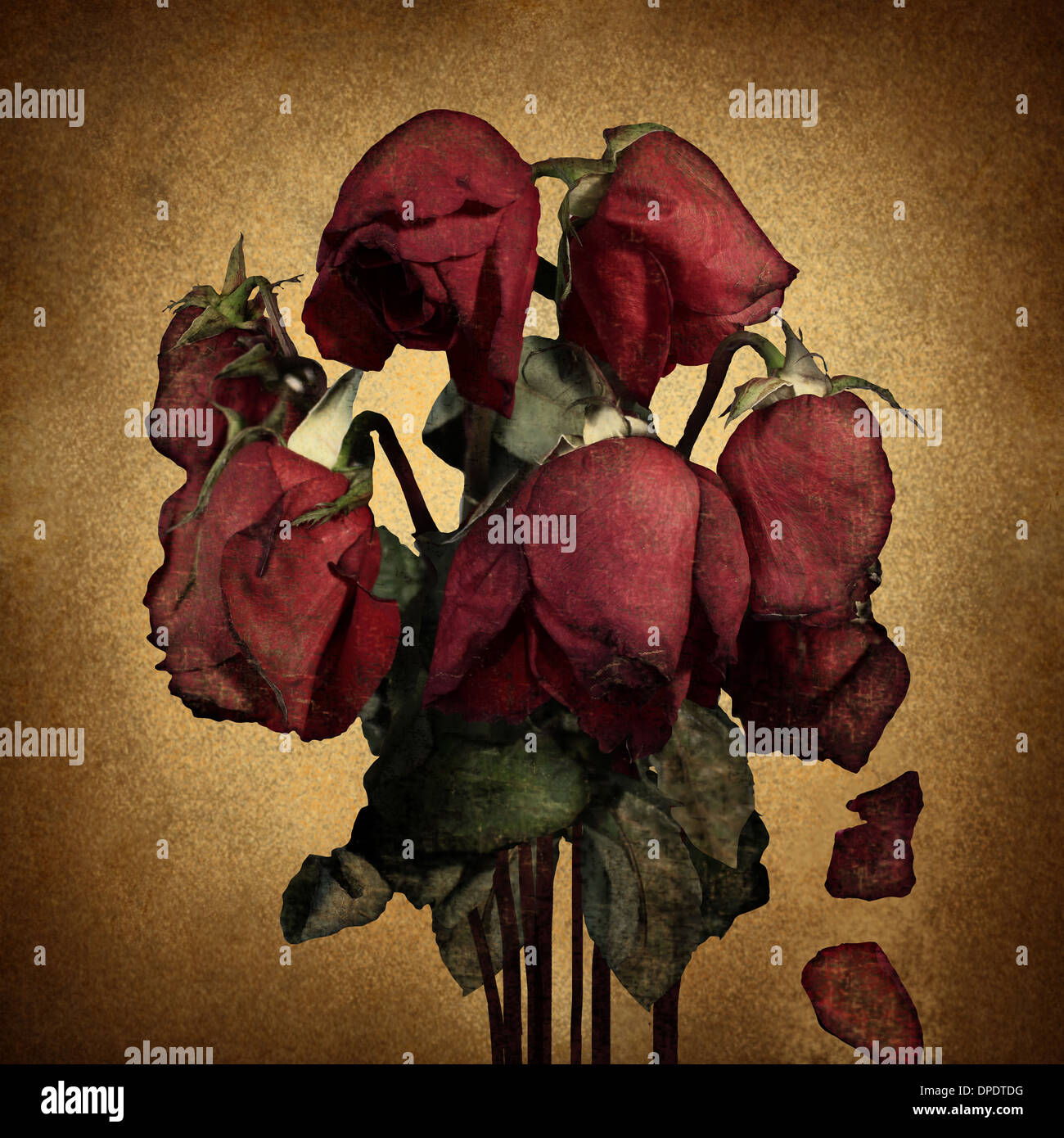 Amore perduto e cuore spezzato emozioni concetto con appassì morendo rose rosse e petali di caduta su una vecchia pergamena texture grunge come Foto Stock