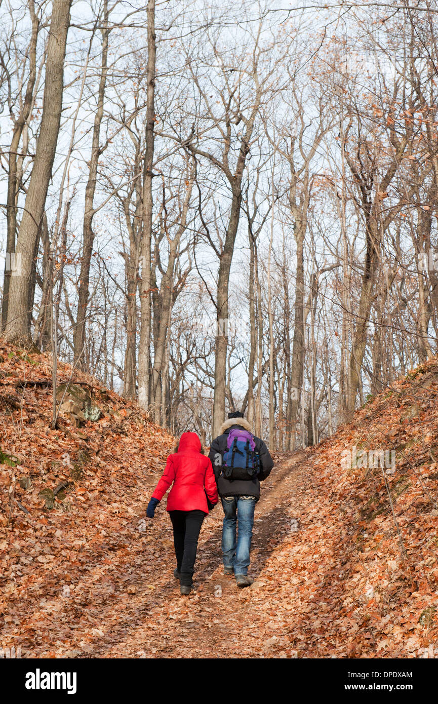 Giovane passeggiare nei boschi tra fogliame di autunno. Foto Stock