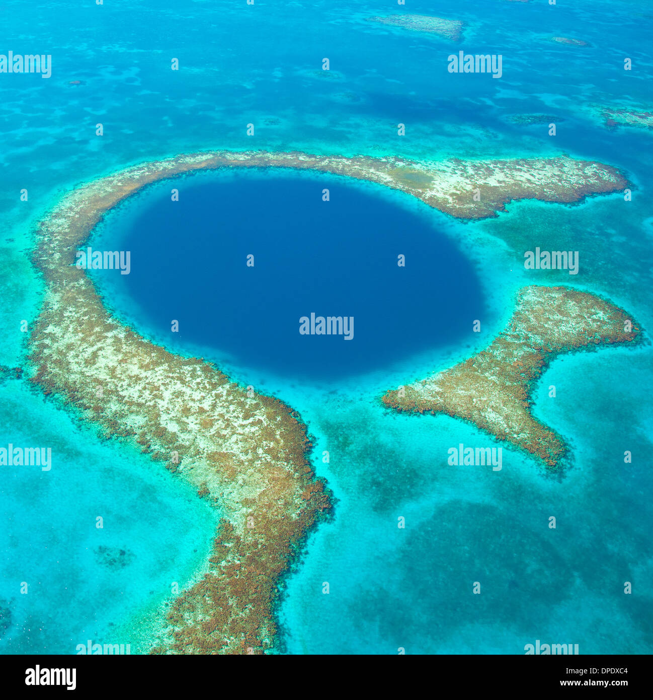 Il Blue Hole Buco Blu monumento nazionale, il Belize Mar dei Caraibi Meso-American Reef Lighthouse Reef Atoll 400 piedi il foro nel reef Foto Stock