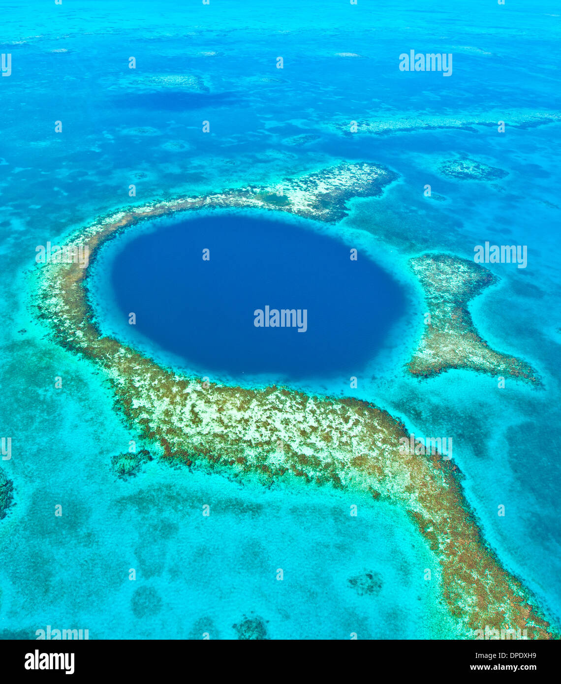 Il Blue Hole Buco Blu monumento nazionale, il Belize Mar dei Caraibi Meso-American Reef Lighthouse Reef Atoll 400 piedi il foro nel reef Foto Stock