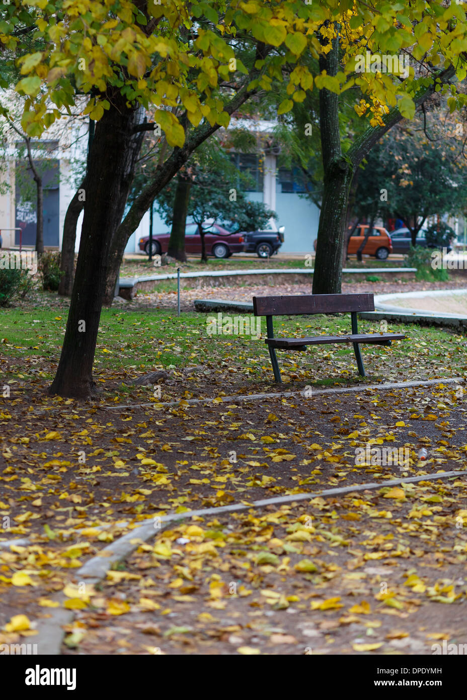 Banco solitario al parco con fogliame giallo nella parte anteriore in autunno o in inverno Foto Stock