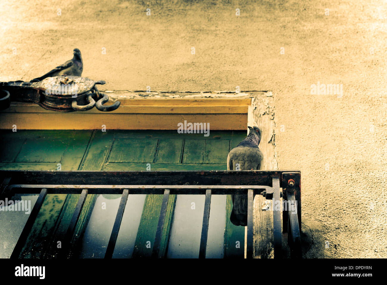 Abstract creative tonica colorata parete urbano dettaglio con piccioni. Foto Stock