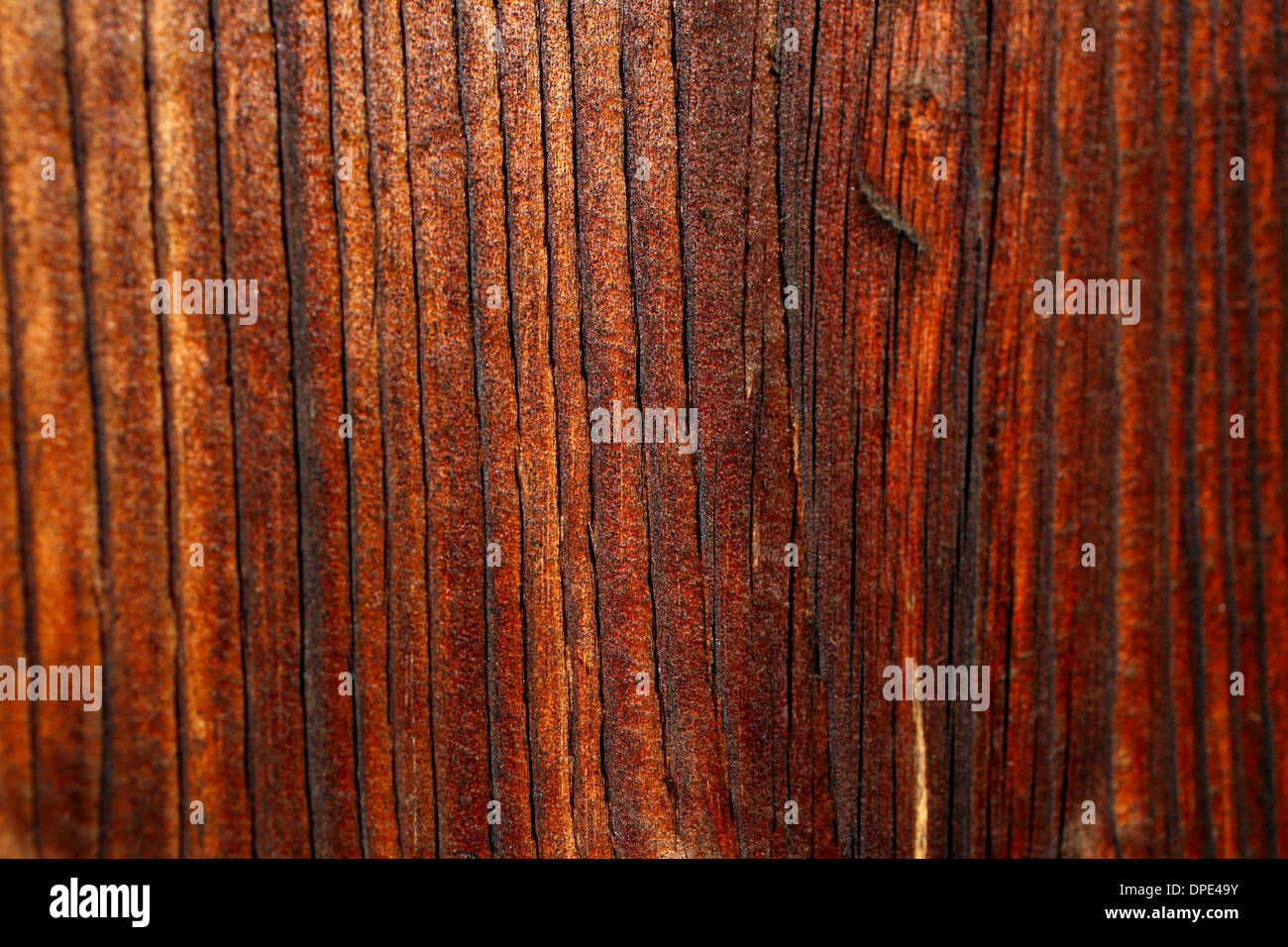 Dettagli naturali di sun legno essiccato di una 100 anni vecchio fienile Foto Stock