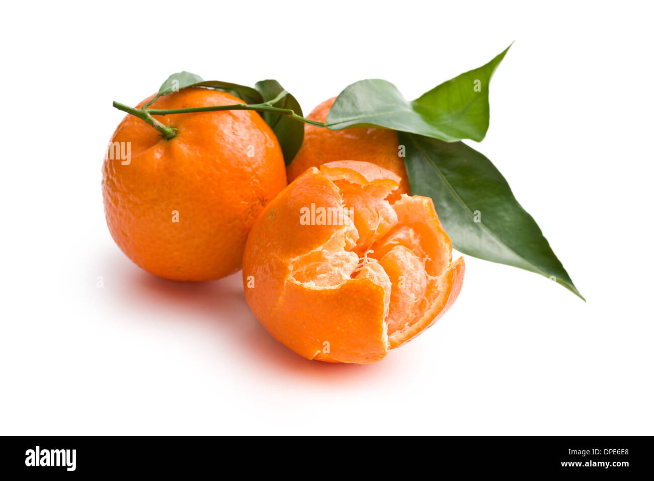 Mandarini freschi con foglie verdi su sfondo bianco Foto Stock