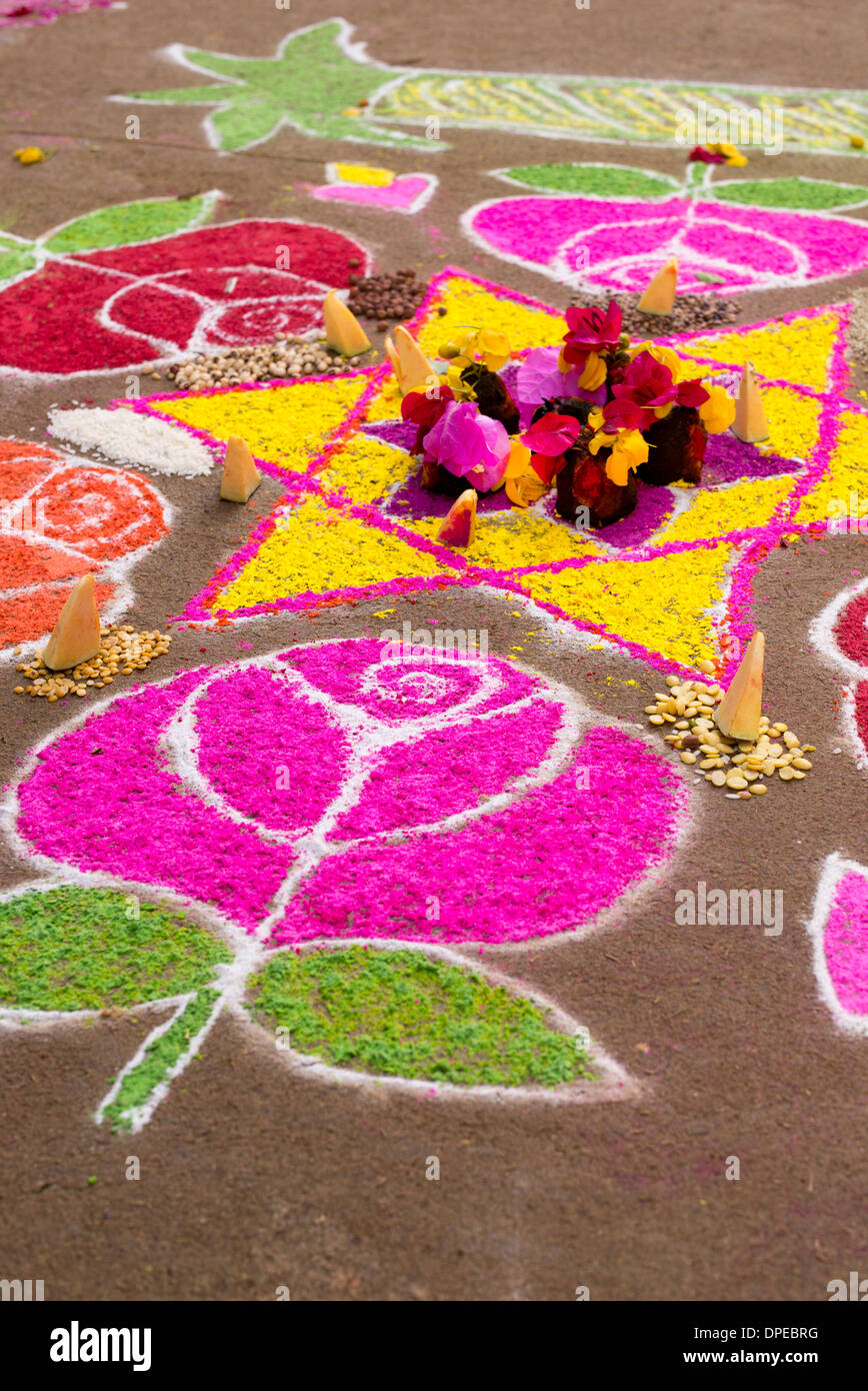 Rangoli festival di polvere colorata design con petali di fiori e semi di piante in un Indiano street presso Sankranthi Foto Stock