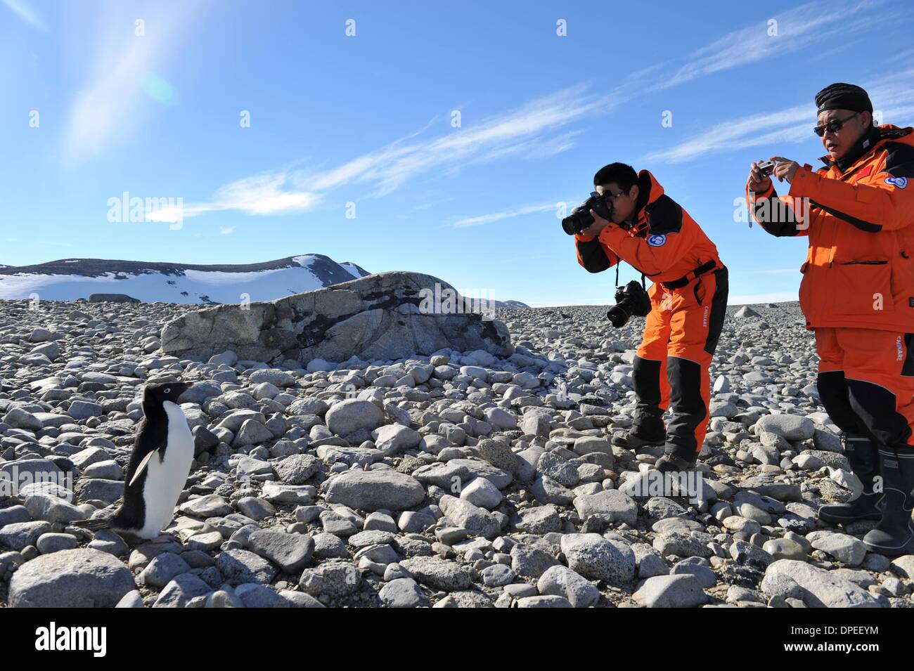 A bordo Xuelong. Xiv gen, 2014. I membri di cinesi Antartico team di esplorazione di scattare delle foto di un'Adelie penguin in Victoria Land in Antartide, Gennaio 13, 2014. La Cina sta progettando di costruire una perenne dalla stazione di Victoria terra entro il 2015. © Zhang Jiansong/Xinhua/Alamy Live News Foto Stock
