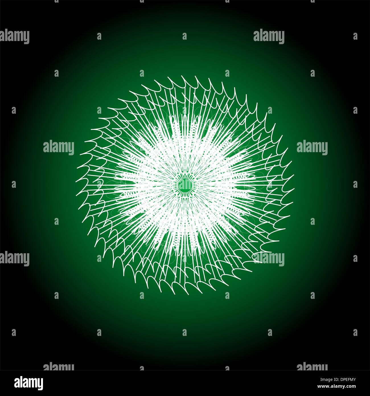 Modello di voucher con arabescato pattern (watermark) e bordo Foto Stock