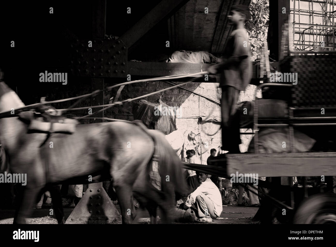 Apr 20, 2006 - Mumbai, India - parti di Mumbai che ancora utilizzano caravan vintage tirato da haggard i cavalli per il trasporto di merci e persone tra luoghi. (Credito Immagine: © Zishaan Akbar Latif/ZUMA Press) Foto Stock