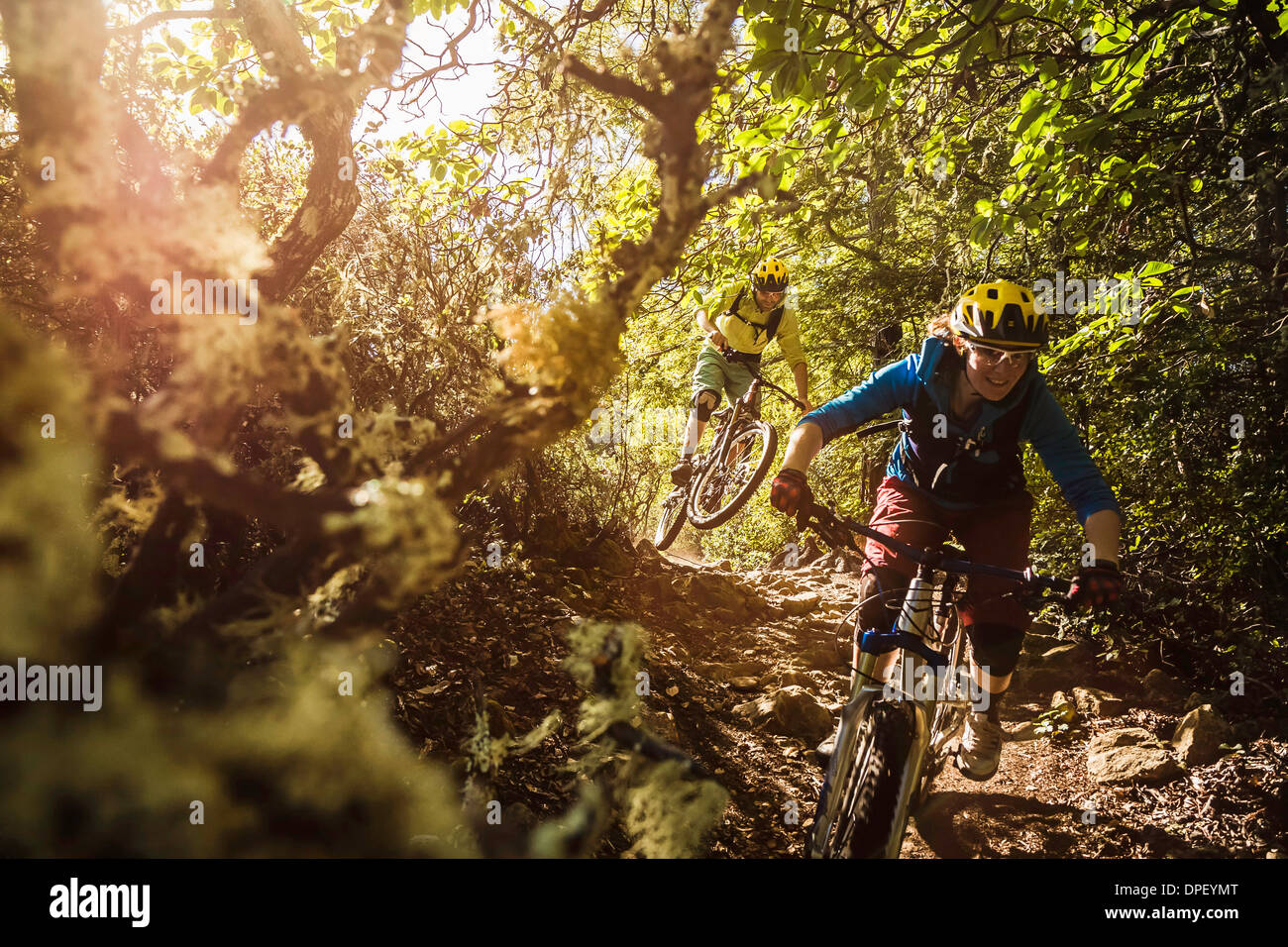 Coppia giovane mountain bike, Soquel dimostrazione la foresta di stato di Santa Cruz, California, Stati Uniti d'America Foto Stock