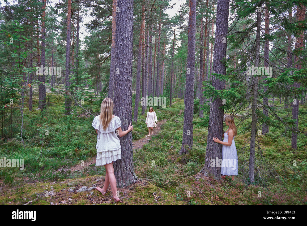 Le ragazze adolescenti con tronchi di alberi in foresta Foto Stock