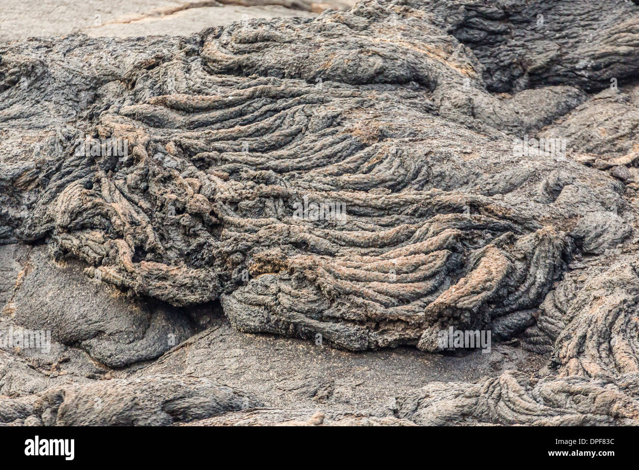 Esempio di lava pahoehoe su Fernandina Island, Isole Galapagos, Ecuador, Sud America Foto Stock