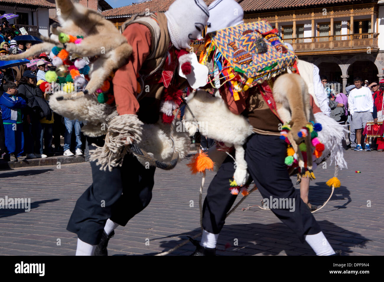 Gli uomini con fruste di colpire ogni altro durante la festa del Corpus Domini, svoltasi a Cuzco, Perù Foto Stock
