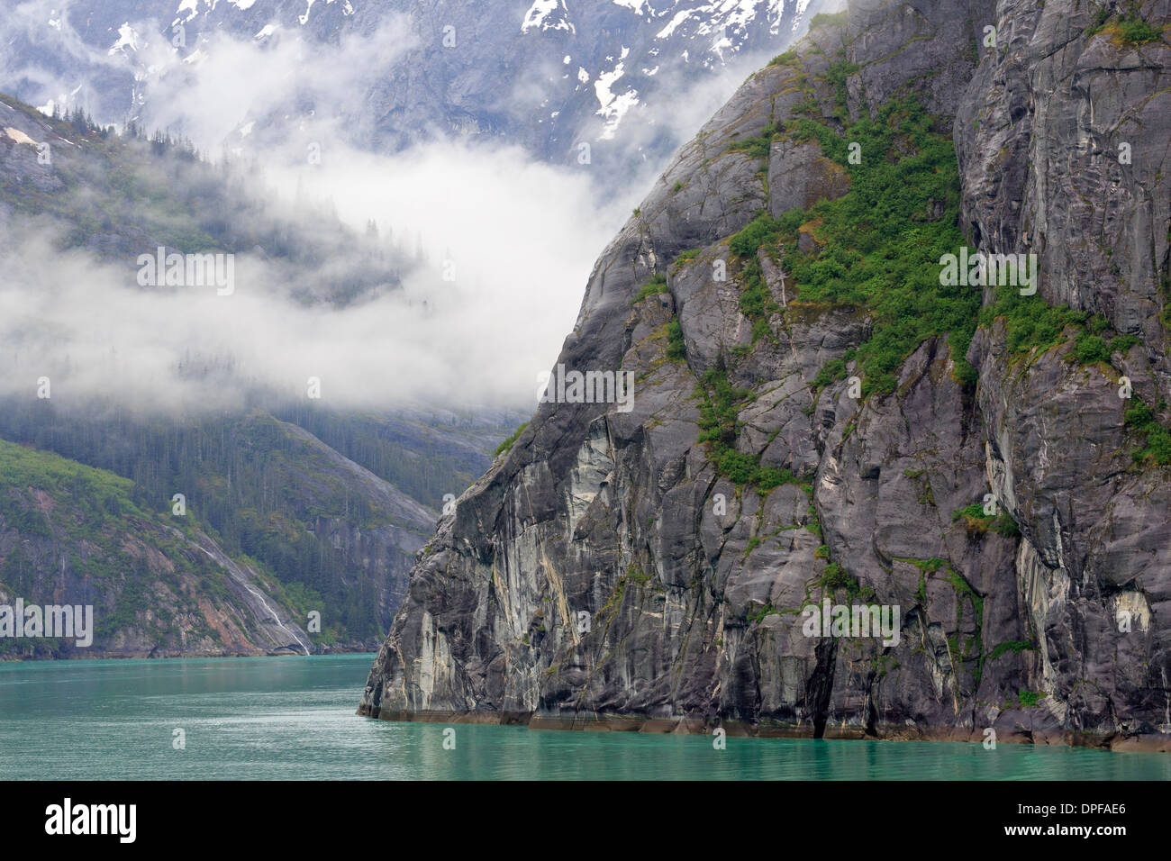 Tracy Arm Fjord, Alaska, Stati Uniti d'America, America del Nord Foto Stock