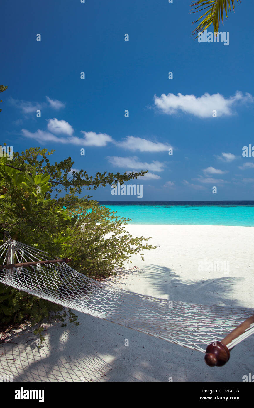 Amaca sulla spiaggia tropicale, Maldive, Oceano Indiano, Asia Foto Stock
