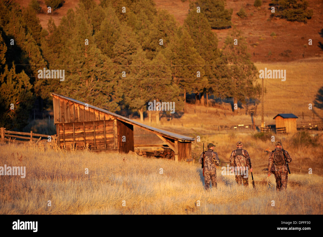 Tre cacciatori di cervi che porta fucili a canna rigata, John giorno, Oregon, Stati Uniti d'America Foto Stock