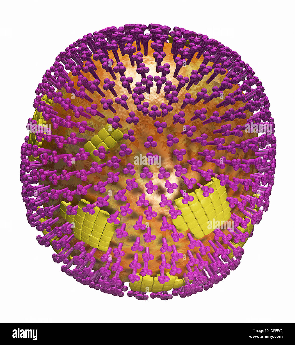 Modello 3D del virus H1N1 Foto Stock