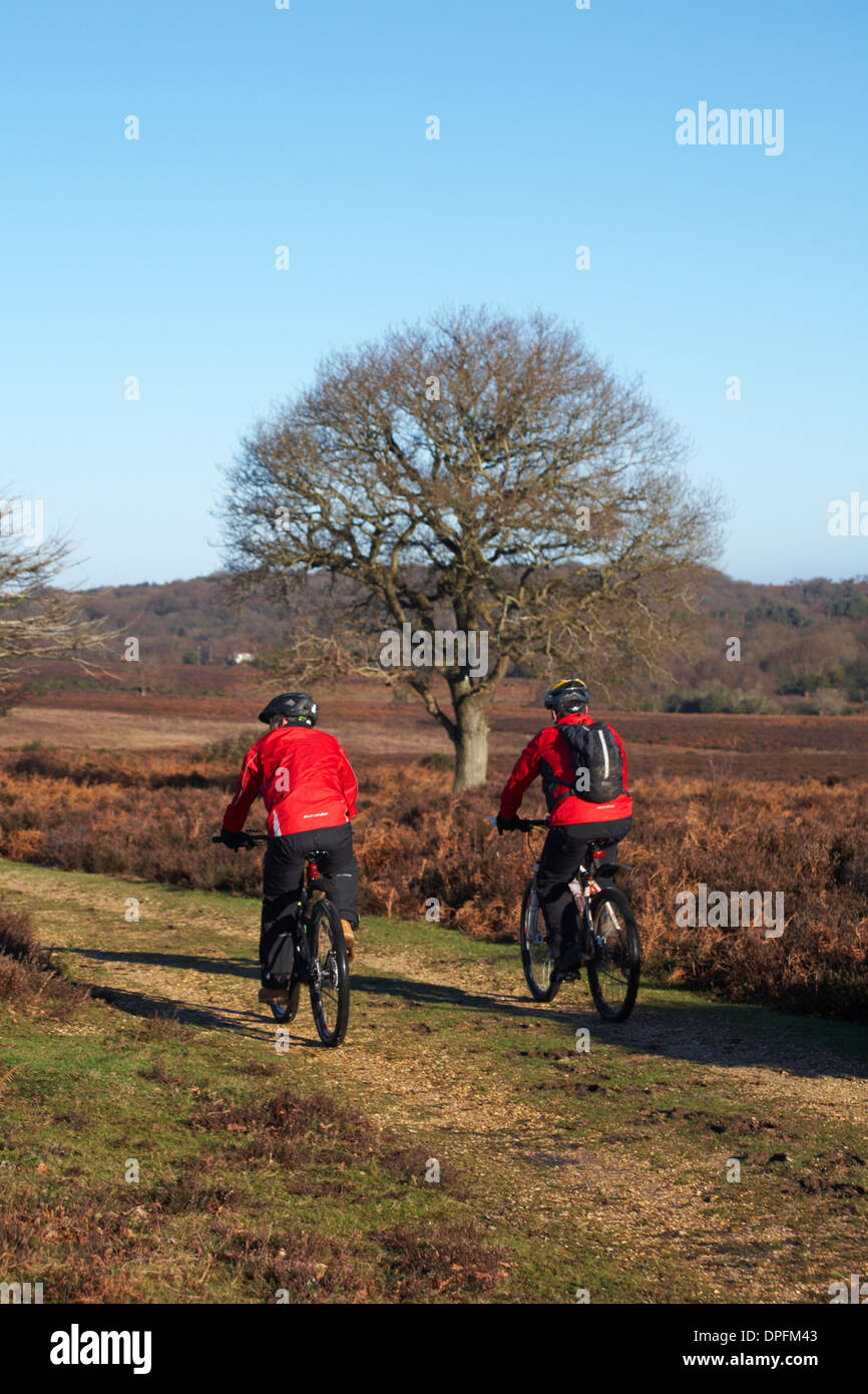 I ciclisti in sella alla vista Bratley, New Forest National Park, Hampshire nel gennaio Foto Stock