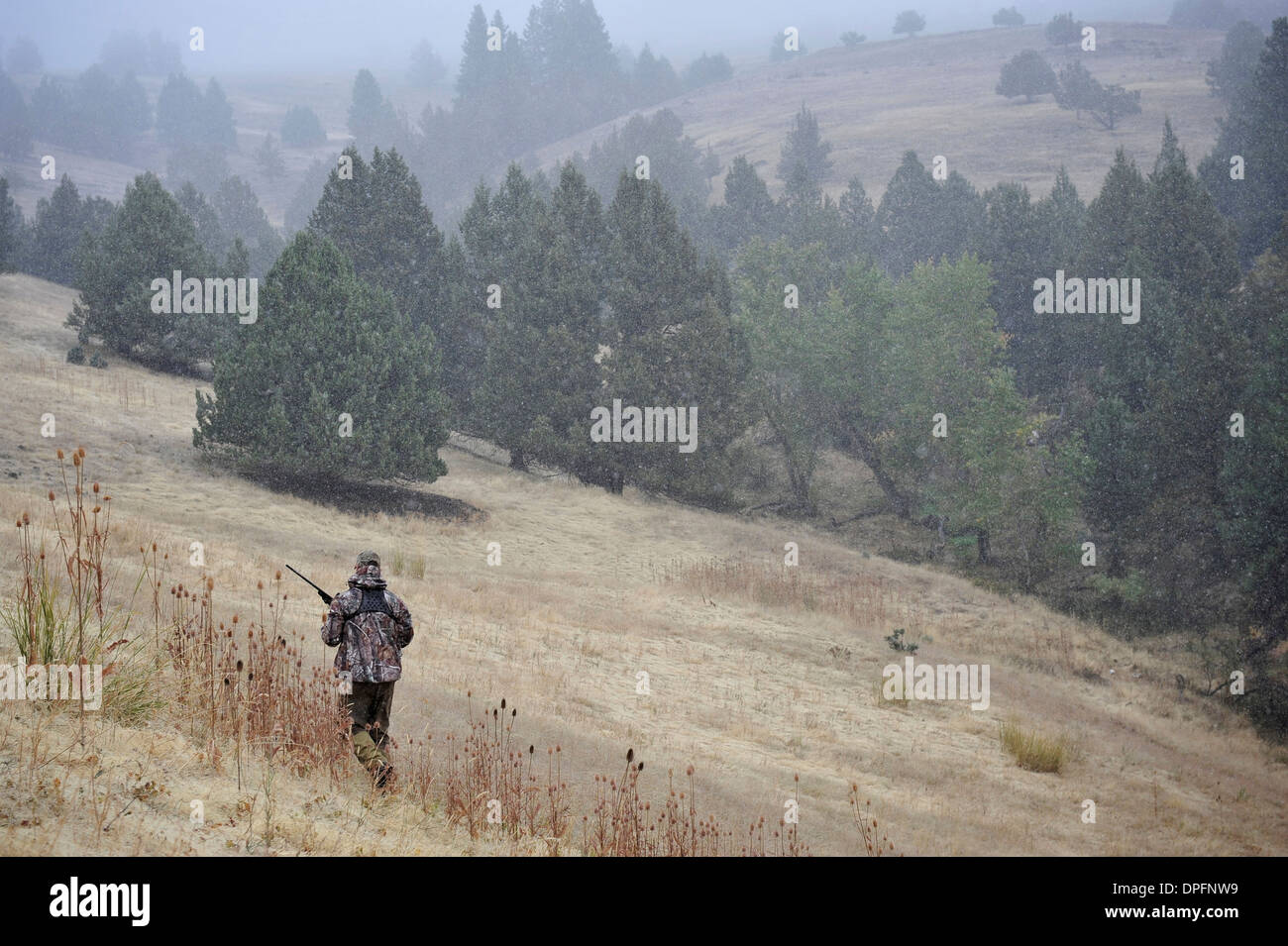 Un cacciatore dei cervi camminare sul campo, John giorno, Oregon, Stati Uniti d'America Foto Stock