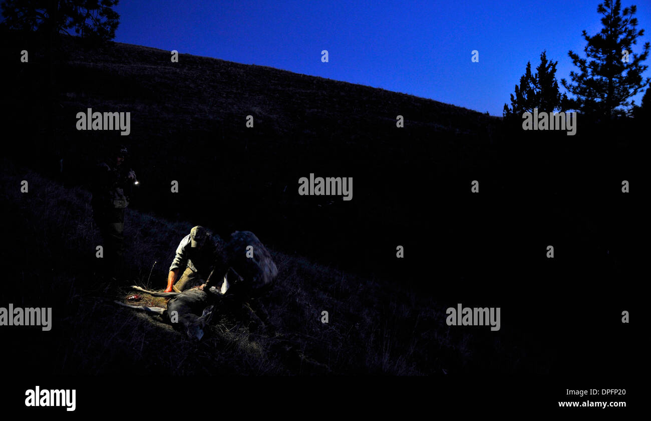 I cacciatori di cervi sbudellare un cervo di notte, John giorno, Oregon, Stati Uniti d'America Foto Stock