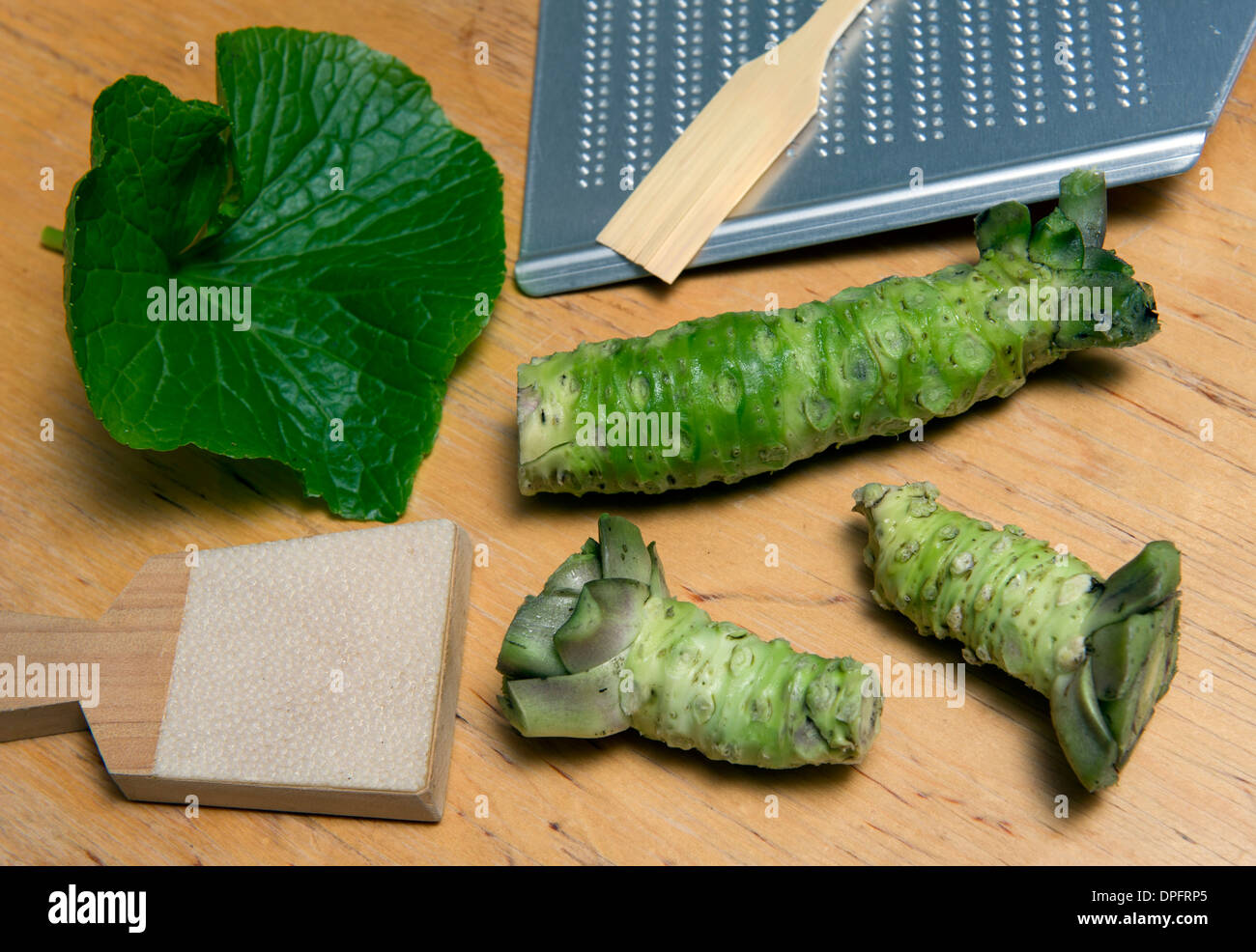 Wasabi cresce in primavera acqua con produzione di manager James Haerper del Wasabi Company, Dorset, Regno Unito Foto Stock