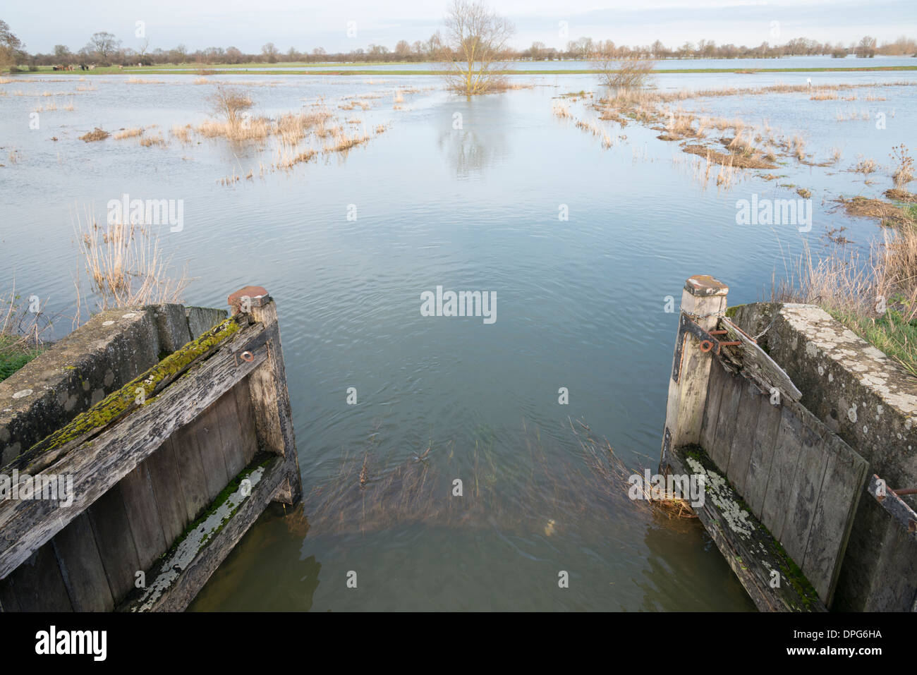 Vecchia serratura porte e prati allagati sul Fiume Great Ouse Cambridgeshire Regno Unito mostra la pianura alluvionale. Foto Stock