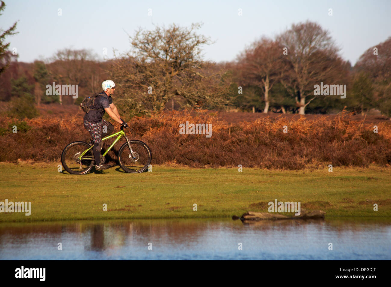 Ciclista a vista Bratley, New Forest National Park, Hampshire nel gennaio Foto Stock